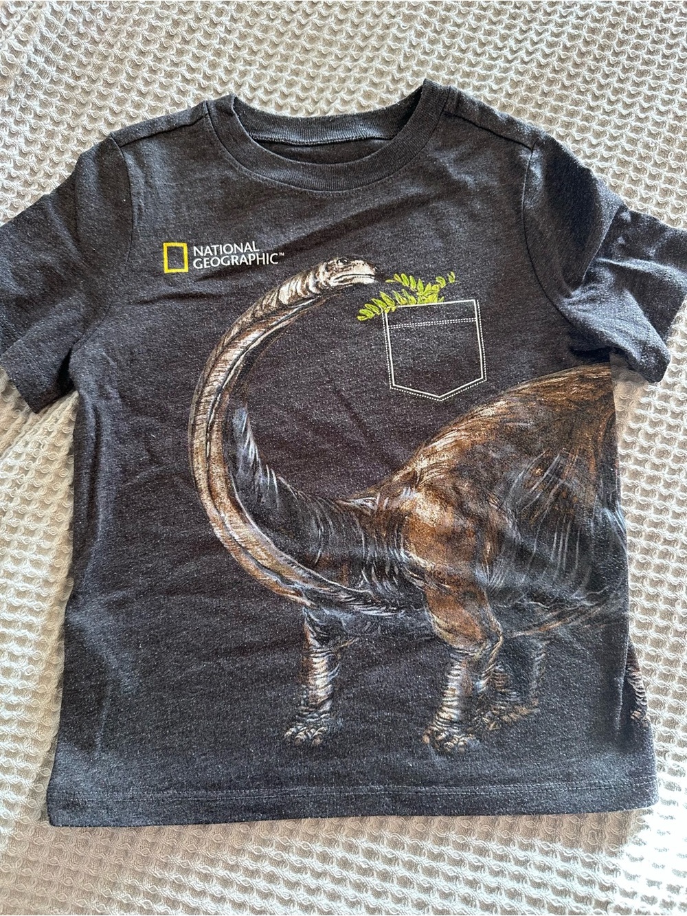 National Geographic Charcoal Dino Pocket Graphic Tee with Green Accent